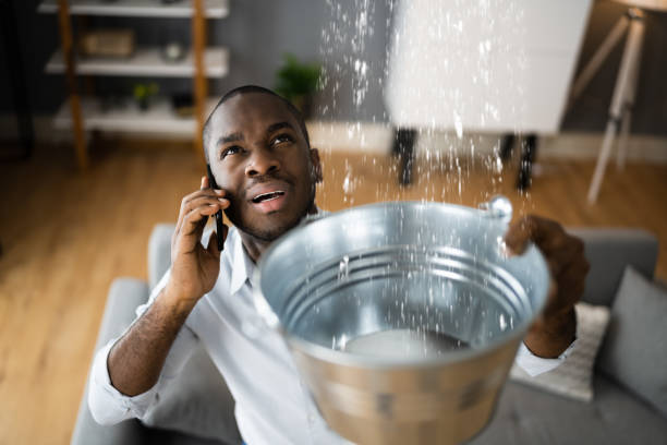 Best Local water damage restoration  in Worth, IL