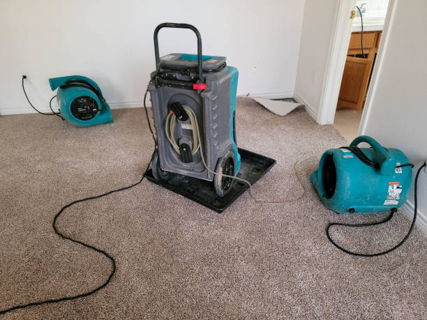 Best Water damage contractors near me  in Worth, IL
