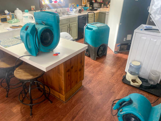 Best Flood damage cleanup  in Worth, IL