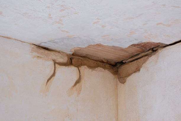 Best Residential water damage restoration  in Worth, IL