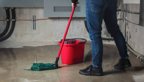 Best Flooded house restoration  in Worth, IL