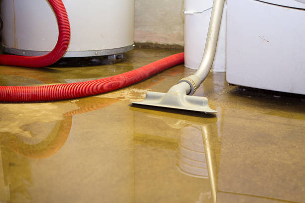 Best Residential water damage restoration  in Worth, IL