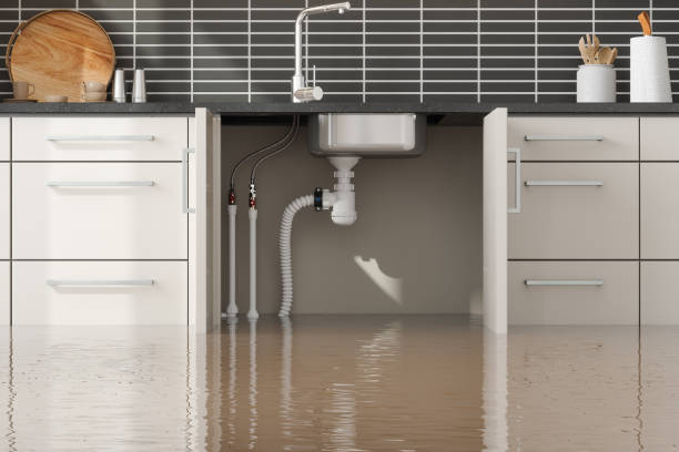 Best Water damage mitigation services  in Worth, IL