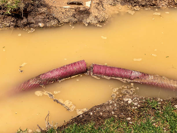 Best Water damage restoration near me  in Worth, IL