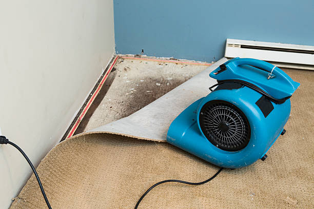 Best Fire Damage Restoration  in Worth, IL
